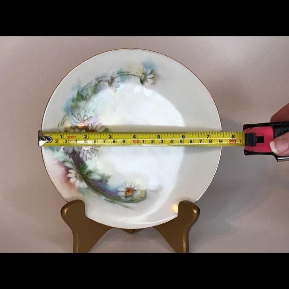 Circa 1908 - 1939 Thomas Bavaria Plate - Picture 8 of 8